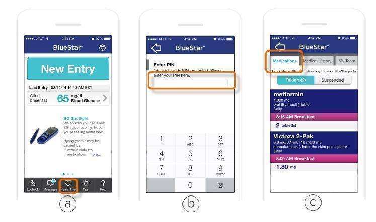 WellDoc BlueStar or WellDoc DiabetesManager System and DiabetesManager Rx System